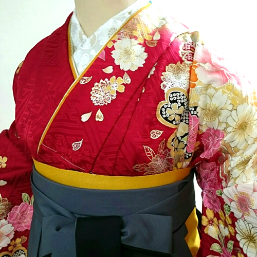 振袖の刺繍衿 袴
